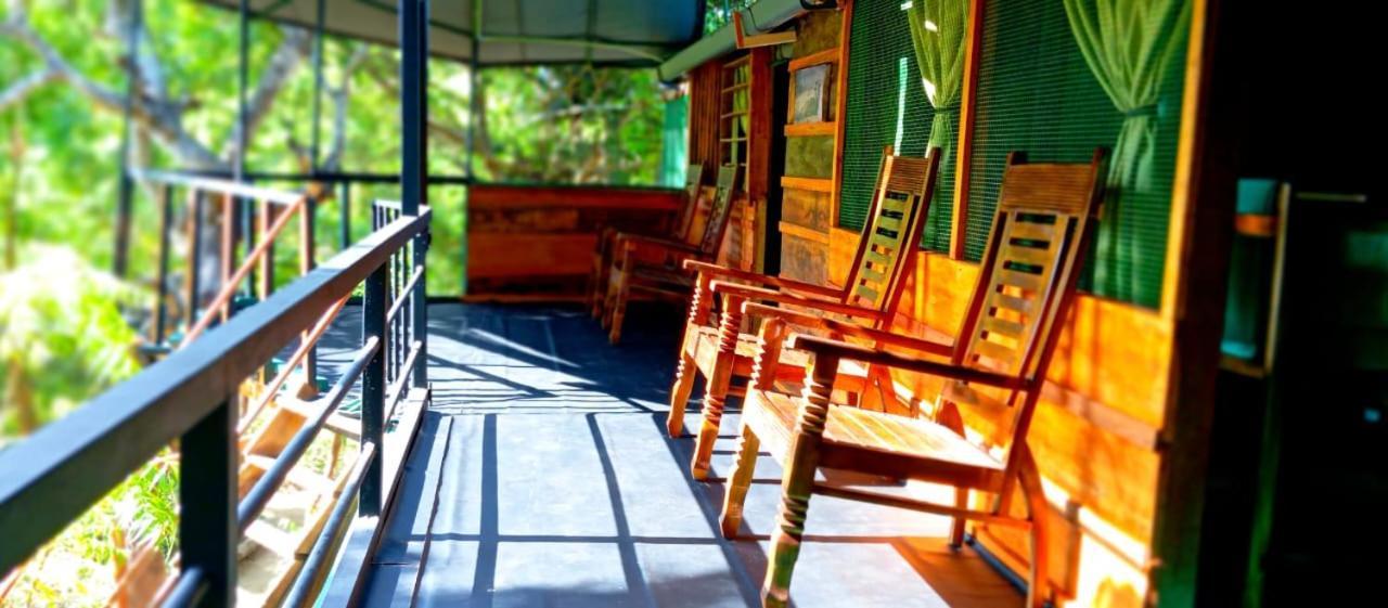 Jungle Cabin - Bundala Bundala Levagangoda エクステリア 写真