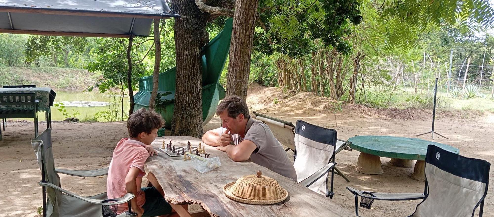 Jungle Cabin - Bundala Bundala Levagangoda エクステリア 写真
