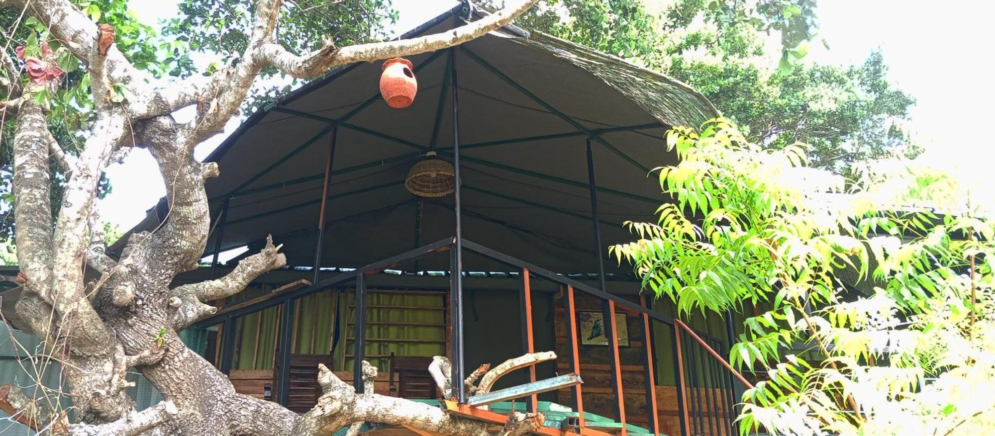 Jungle Cabin - Bundala Bundala Levagangoda エクステリア 写真